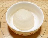冷蔵発酵　使い切り量の発酵種作り方8写真