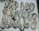 牡蠣の簡単磯辺風焼作り方1写真