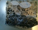 しっとり濃厚！基本のベイクドチーズケーキ作り方2写真