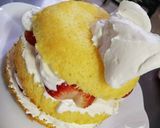 簡単成形！お手軽ドームケーキ♪作り方8写真