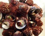 磯ツブの塩茹で作り方1写真