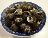 磯ツブの塩茹で作り方4写真