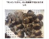 有資格者直伝✿ホンビノスガイの下処理法作り方27写真