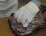 アンコウの捌き方作り方3写真