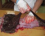 アンコウの捌き方作り方11写真