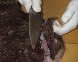 アンコウの捌き方作り方5写真