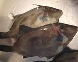 カワハギの刺身の肝添え作り方2写真