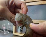 ☆開きえびフライ！下処理説明あり☆作り方4写真