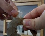 ☆開きえびフライ！下処理説明あり☆作り方5写真