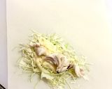 キャベツとササミとチーズの簡単春巻き☆作り方3写真