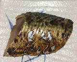 鯖の冷燻＆大葉のオードブル作り方2写真