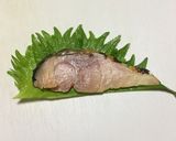 鯖の冷燻＆大葉のオードブル作り方3写真
