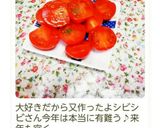 漬け込みトマト作り方7写真