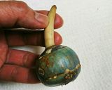 大人の味くわいチップス作り方1写真