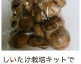 旨味3倍に☆生しいたけの冷凍保存法作り方12写真
