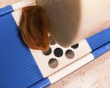 超自信作！鶏としめじとだいこん梅みぞれ！作り方1写真