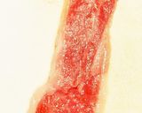 型抜きの余り野菜で！八幡巻風作り方2写真