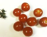 パクパクあとひく＊トマトの旨塩おつまみ＊作り方1写真