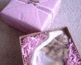 ★Cookie Swap 2002 Spring via U.S. mail Vol. 2★作り方17写真