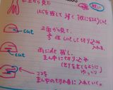 かまぼこの飾り切り(紅白蒲鉾)作り方3写真