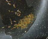 チキンカレー作り方1写真