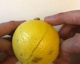 手作り調味料 レモン塩作り方3写真