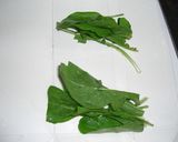 ルッコラのチー巻き作り方1写真