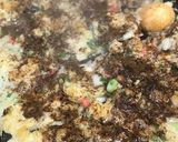 たこ焼き dEトロッとカリカリ作り方5写真