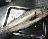 味がぎゅ~と詰まったスズキの昆布締め♡作り方1写真