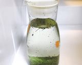 食事の時用の水出し緑茶(100.2)作り方4写真