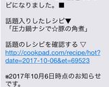 圧力鍋ナシで☆豚の角煮作り方10写真