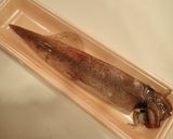 ヤリイカの刺身作り方1写真