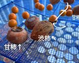 甘柿で作る干し柿（あんぽ柿）作り方4写真
