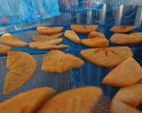 甘柿で作る干し柿（あんぽ柿）作り方11写真