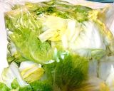ジッパー袋を使って手作り白菜のキムチ覚書作り方1写真