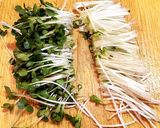 かいわれシーチキンの春巻き作り方1写真