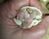 節約！もやしシューマイ作り方10写真