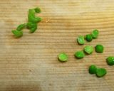 恐竜の卵 簡単 お弁当のおかず作り方6写真