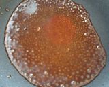 さっぱり手羽先照り焼き作り方3写真