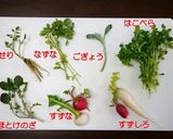 簡単！七草粥☆炊飯器で作り方1写真