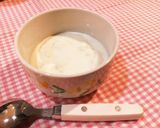 ■絶対失敗しない玉ねぎヨーグルトの極意作り方3写真
