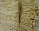 野菜高騰！救世主！！カイワレの炒めもの作り方2写真