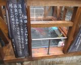 最泉のチンゲン菜の温泉卵添え作り方1写真