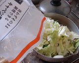 最速の野菜煮込みチャンポン作り方2写真