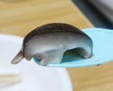 心身共に温まる薬膳、軟骨入りつくね鍋作り方5写真