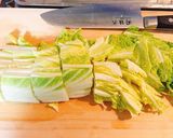 白菜の浅漬け作り方1写真