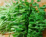 簡単 副菜❀豆苗ともやしとオクラのお浸し作り方3写真