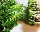 もやしと豆苗の炒め物♪作り方2写真