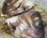 土鍋でふっくら 鯛飯作り方2写真