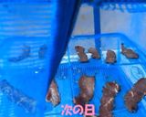 鹿ジャーキー作り方6写真
